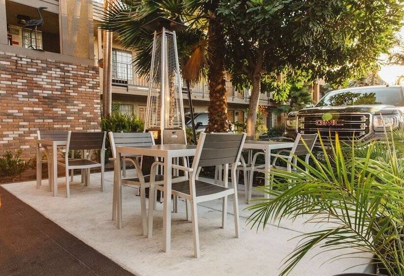 هتل Best Western Palm Garden Inn