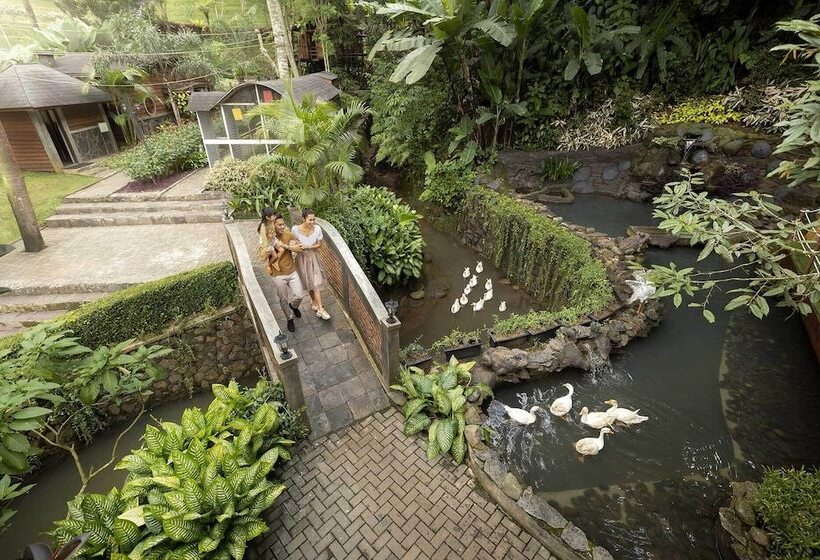 Fotos del hotel Padma  Bandung:  45