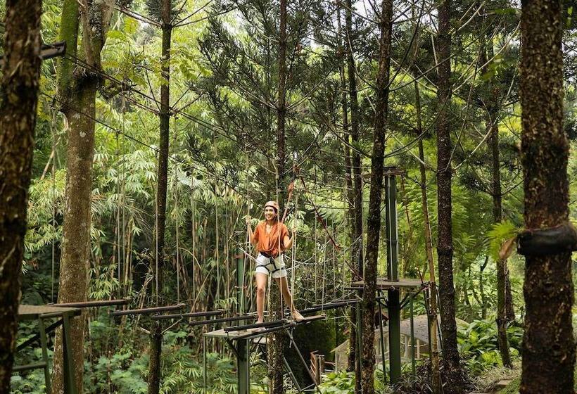 Fotos del hotel Padma  Bandung:  32