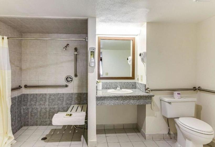 Отель Rodeway Inn