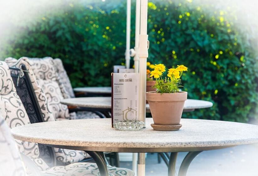 Fotos del hotel Club Hotel Cortina:  14