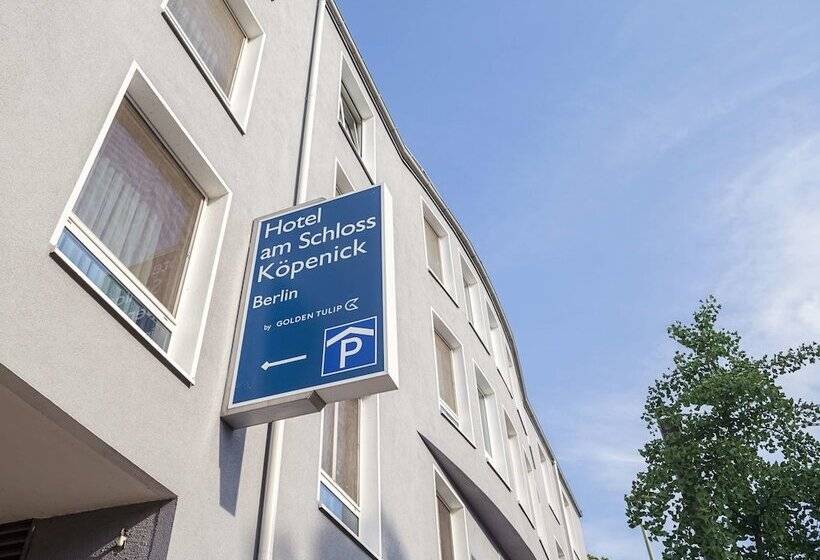 Fotos del hotel Am Schloß Köpenick By Golden Tulip:  77