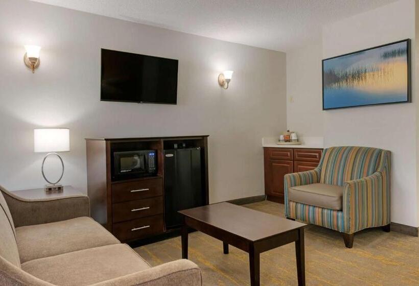 בית מלון כפרי Best Western Inn Of Palatka