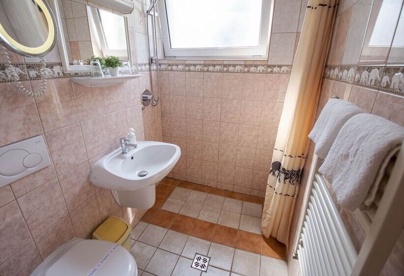 Fotos del hotel Grand Richter:  5