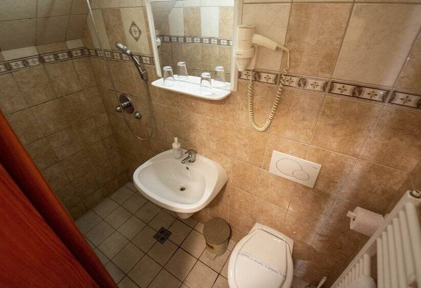 Fotos del hotel Grand Richter:  6