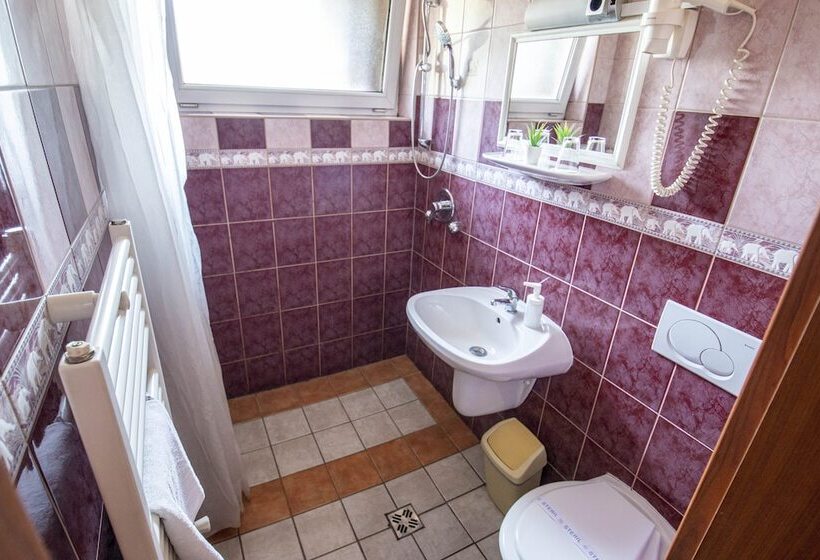 Fotos del hotel Grand Richter:  7