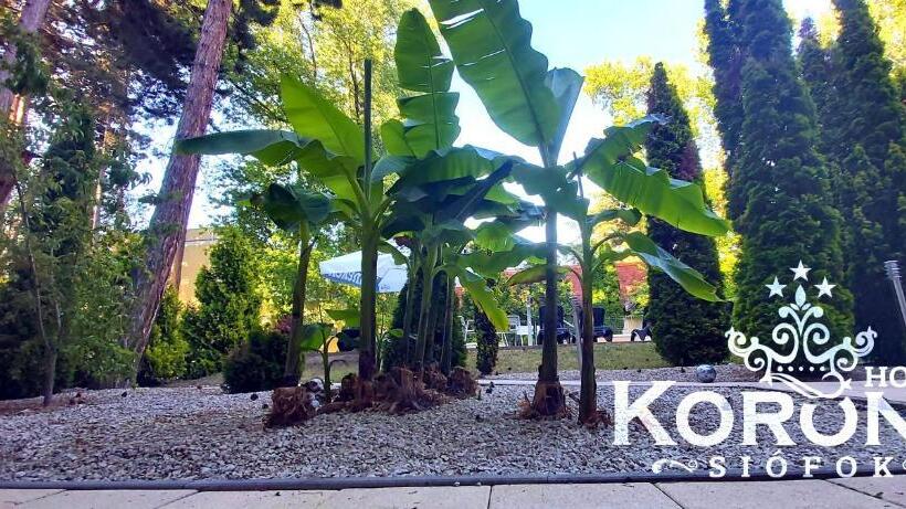 هتل Korona