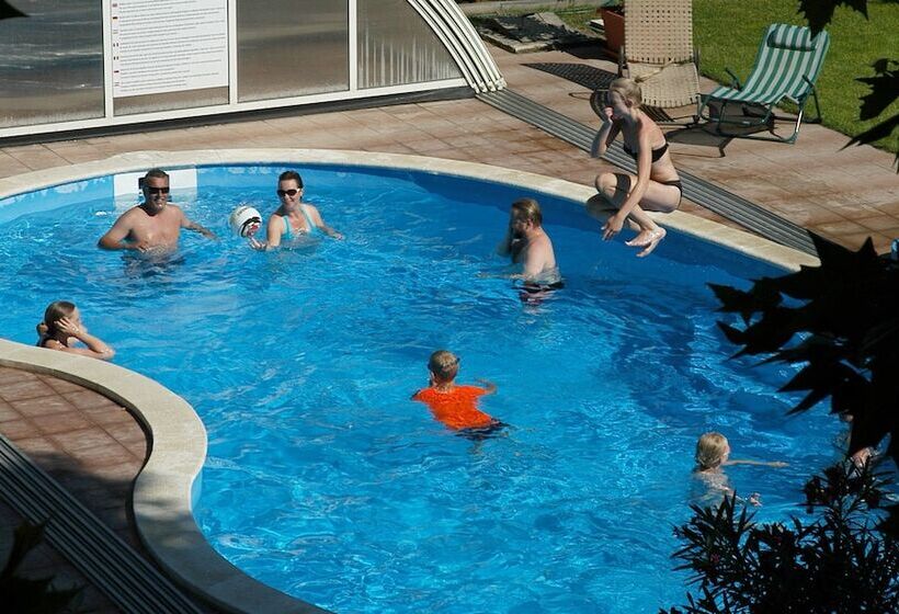 Fotos del hotel Manzard Panzio:  2