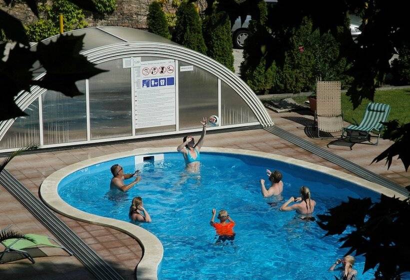 Fotos del hotel Manzard Panzio:  15