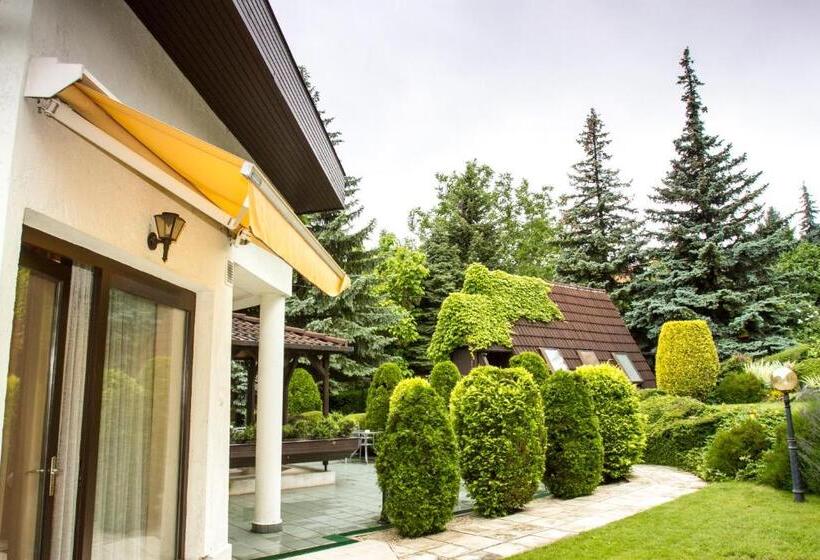 Fotos del hotel Molnár:  61