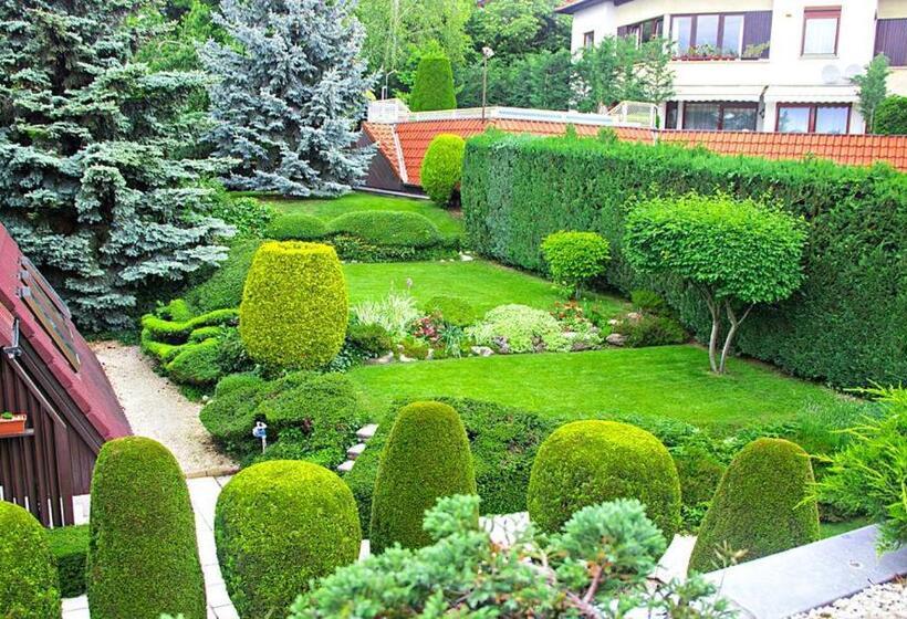 Fotos del hotel Molnár:  59