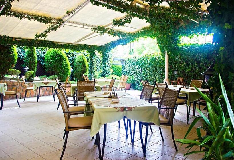 Fotos del hotel Molnár:  53