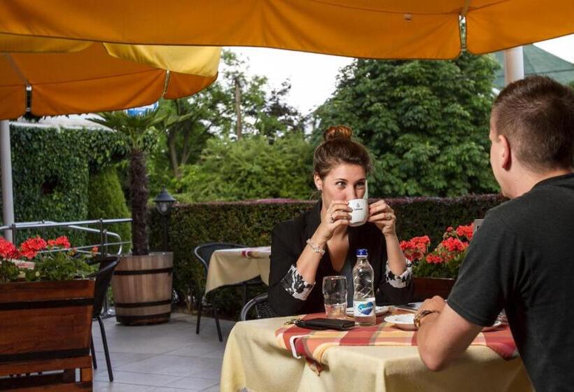 Fotos del hotel Molnár:  36