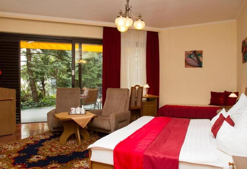 Fotos del hotel Molnár:  23