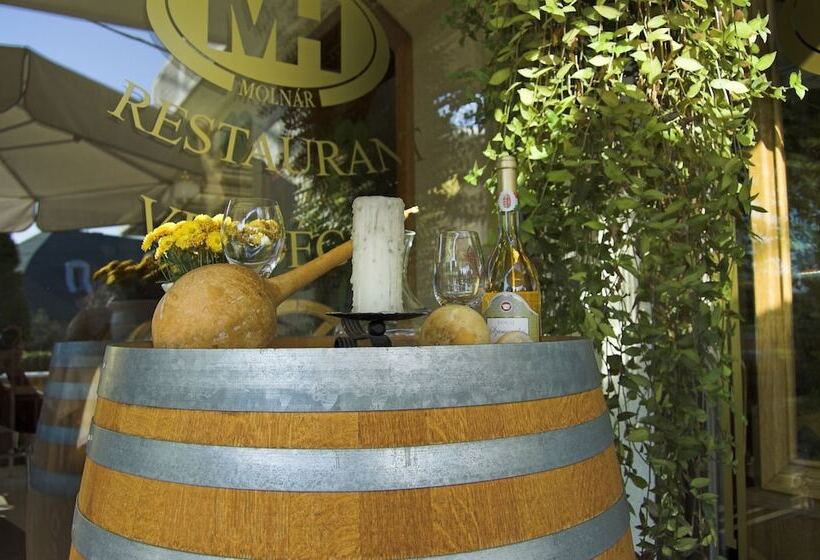 Fotos del hotel Molnár:  65