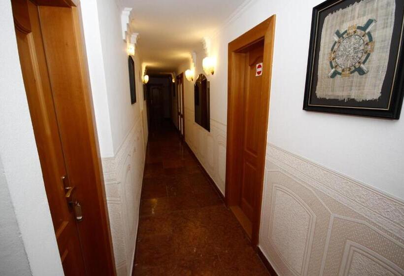 호텔 Parti Panzió