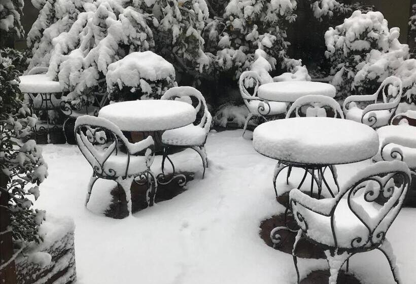 Fotos del hotel Select Garden:  13