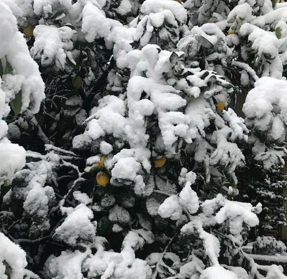 Fotos del hotel Select Garden:  9