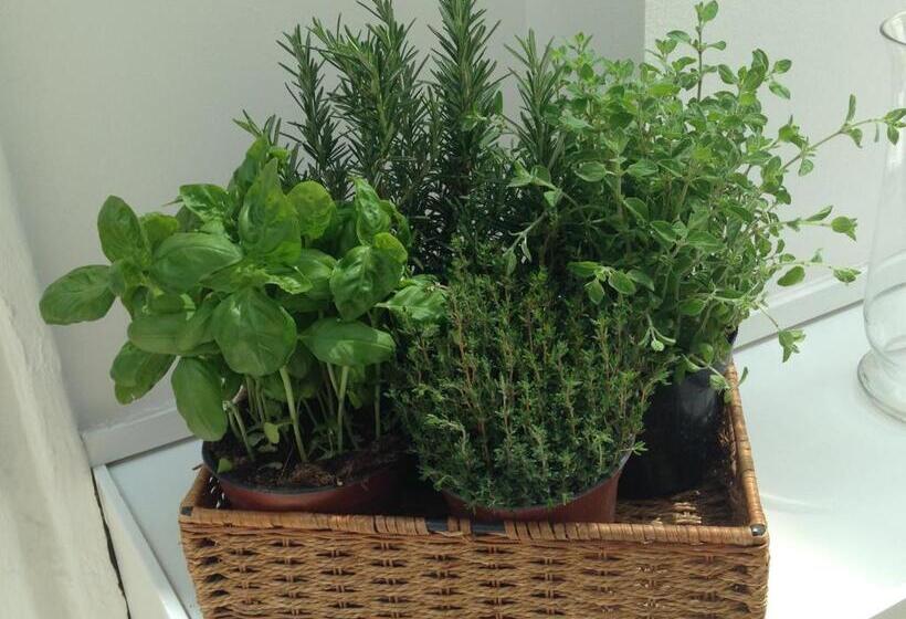 Fotos del hotel Select Garden:  10