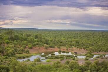 هتل Victoria Falls Safari Lodge