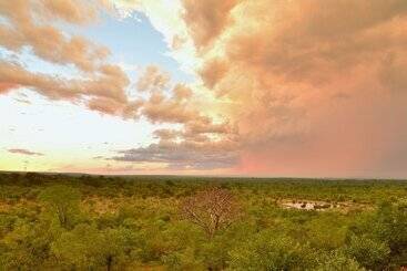 Hotel Victoria Falls Safari Lodge