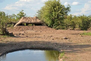 هتل Victoria Falls Safari Lodge