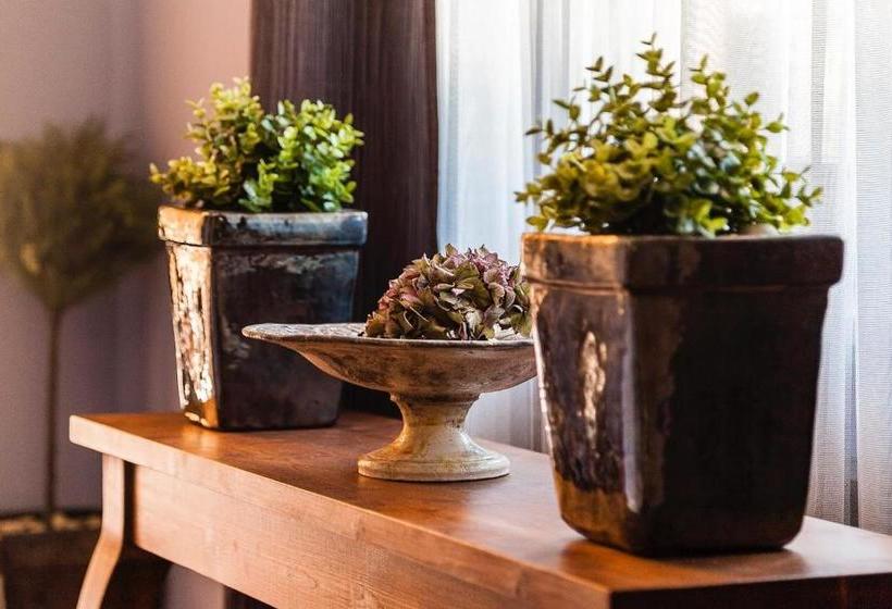 Fotos del hotel Villa Rosa Boutique:  18