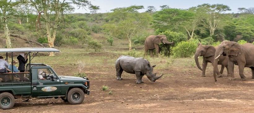 فندق Zulu Nyala Game Lodge