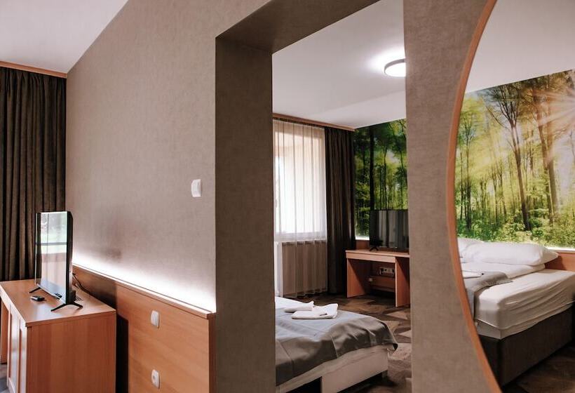 Park Hotel Sóstó