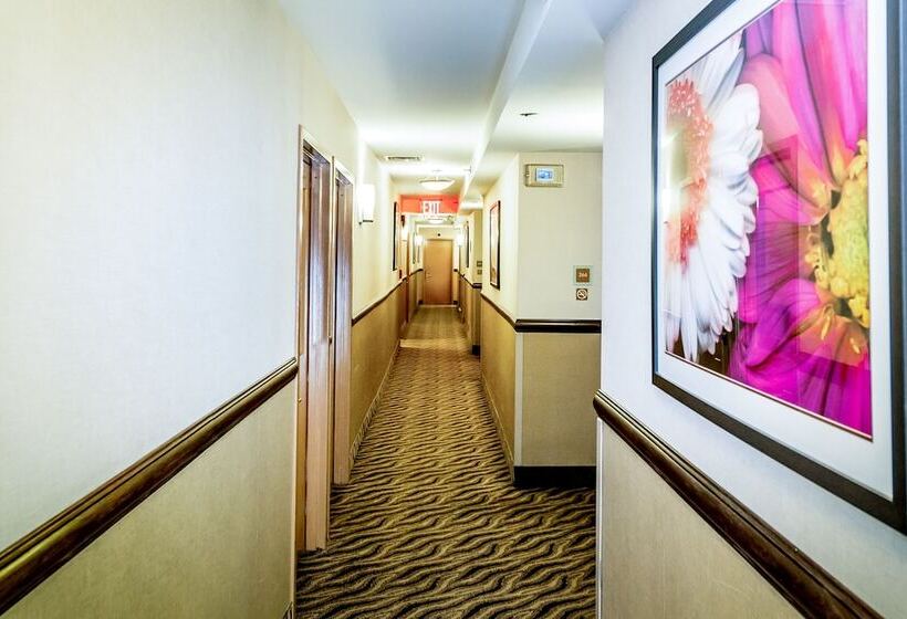 Fotos del hotel Anchor Inn:  15