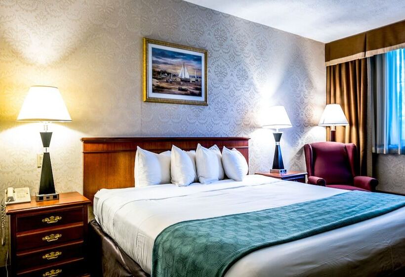 Fotos del hotel Anchor Inn:  3