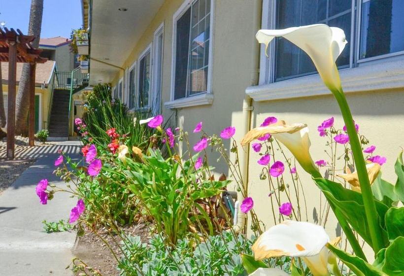هتل Bay Front Inn