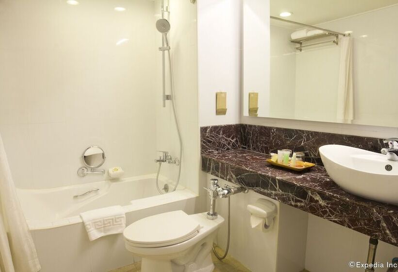 Fotos del hotel Bayview Park Hotel Manila:  18