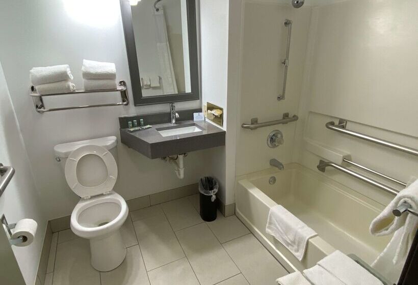 هتل Best Western Morton Inn