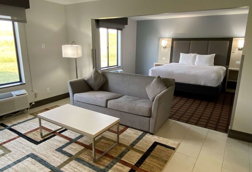 هتل Best Western Morton Inn
