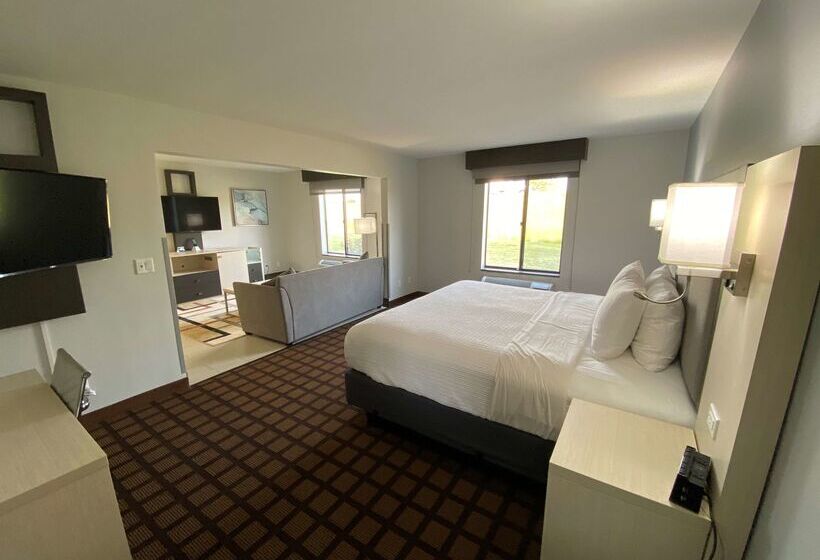 هتل Best Western Morton Inn