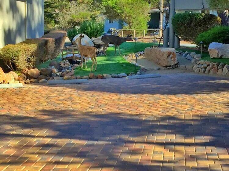 هتل Best Western The Inn & Suites Pacific Grove