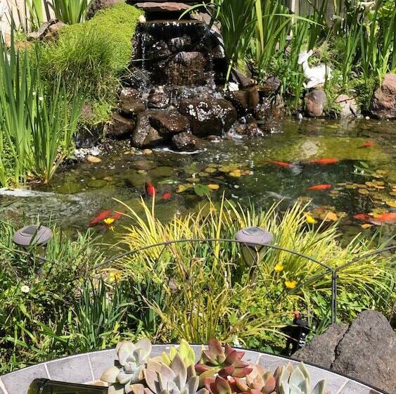 هتل Best Western The Inn & Suites Pacific Grove