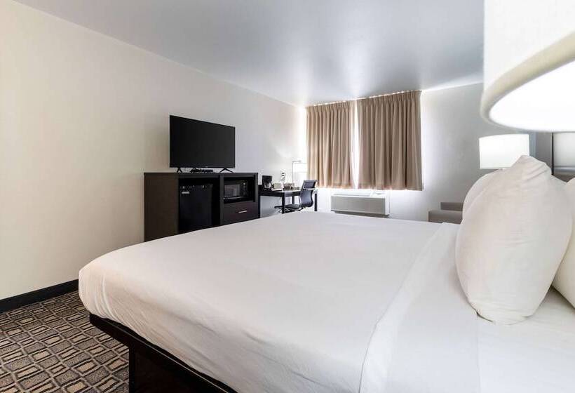 ホテル Quality Inn Winslow I 40