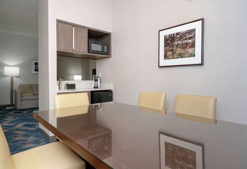 هتل Embassy Suites By Hilton Alexandria Old Town