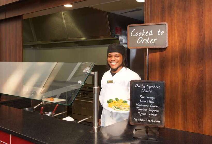 ホテル Embassy Suites By Hilton Detroit Livonia Novi