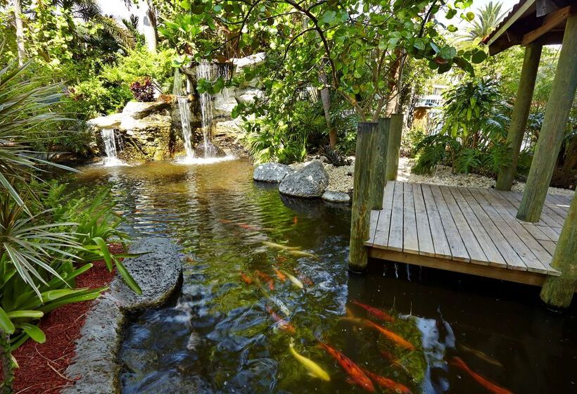 Hotel Embassy Suites By Hilton Fort Lauderdale 17th Street