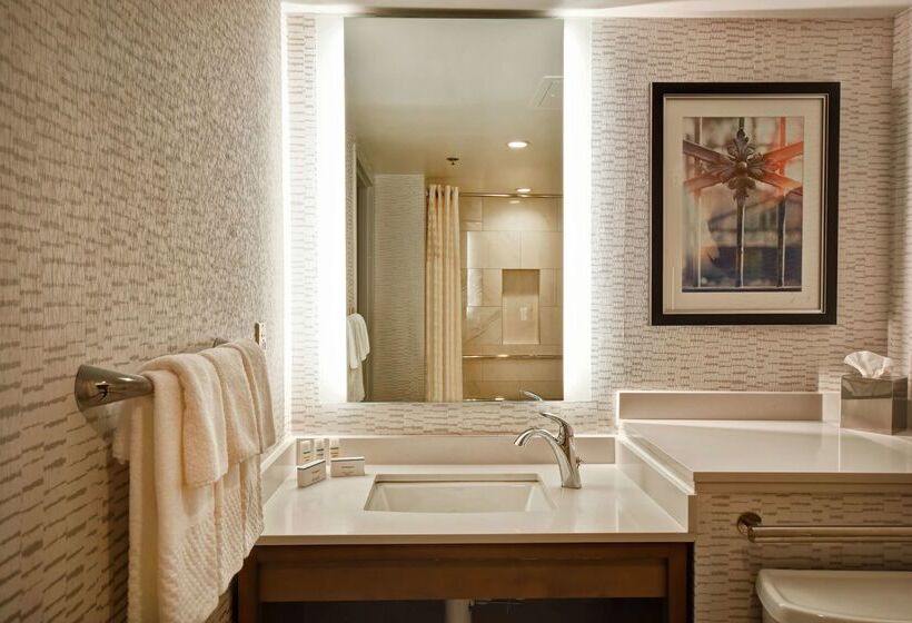 هتل Embassy Suites By Hilton Omaha Downtown Old Market