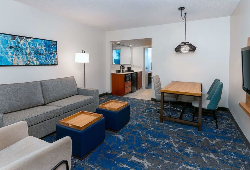 בית מלון כפרי Embassy Suites By Hilton Tampa Usf Near Busch Gardens