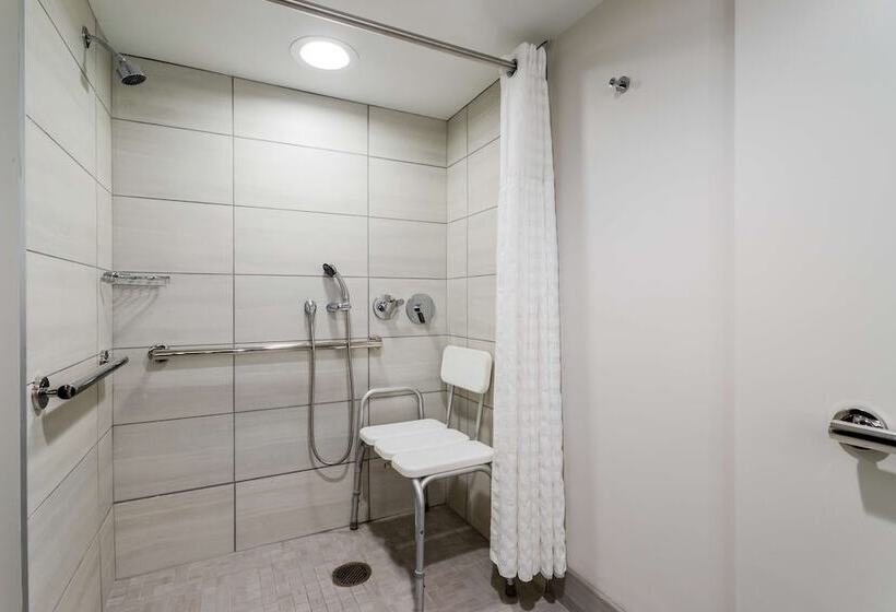 בית מלון כפרי Embassy Suites By Hilton Tampa Usf Near Busch Gardens