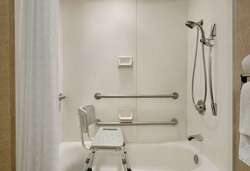 בית מלון כפרי Embassy Suites By Hilton Tampa Usf Near Busch Gardens