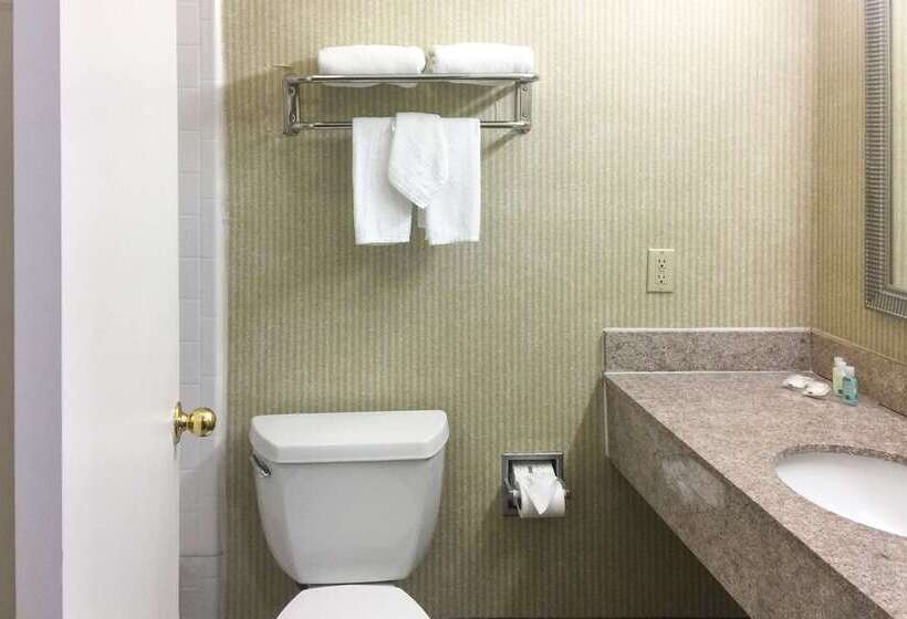 酒店 Quality Inn & Suites Oceanside Near Camp Pendleton