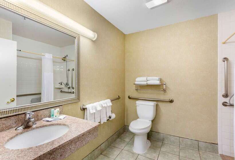酒店 Quality Inn & Suites Oceanside Near Camp Pendleton