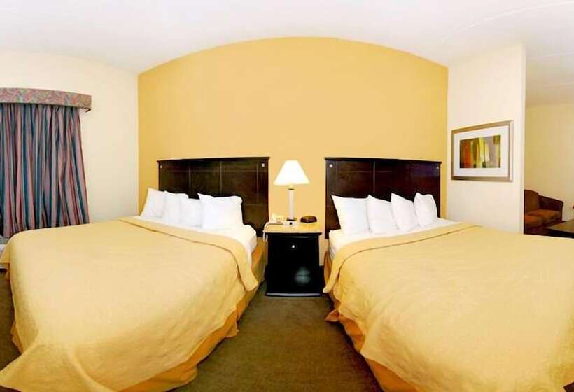 ホテル Quality Inn & Suites