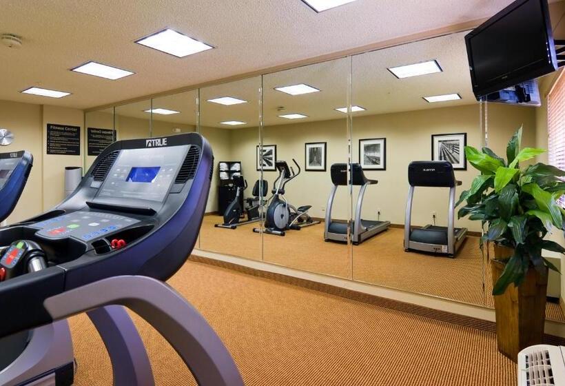 Fotos del hotel Holiday Inn Express Hotel & Suites Kendall East-miami, An Ihg:  18